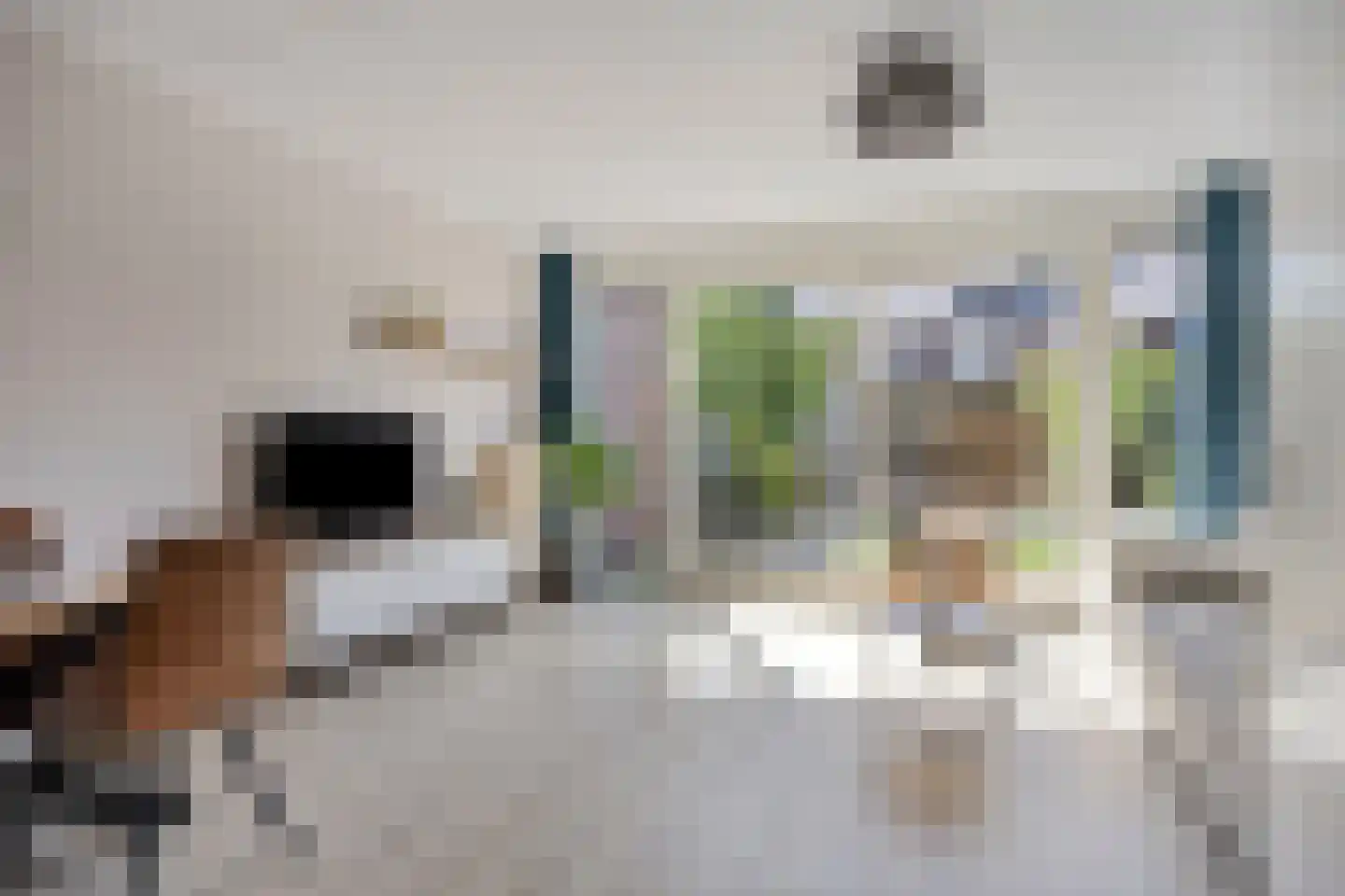 Zilverreiger 2 Leimuiden thumbnail 7