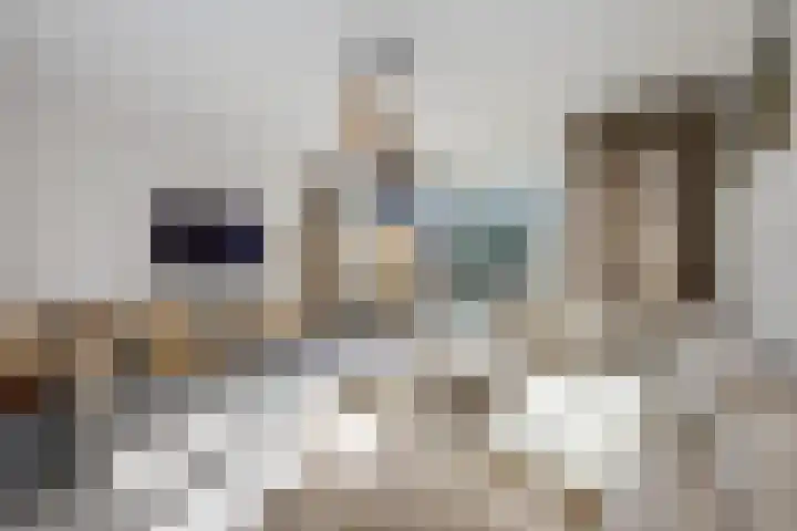 Zilverreiger 20 Leimuiden thumbnail 10