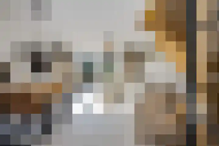 Zilverreiger 20 Leimuiden thumbnail 13