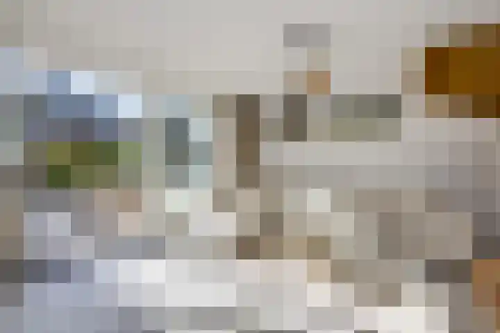 Zilverreiger 20 Leimuiden thumbnail 15