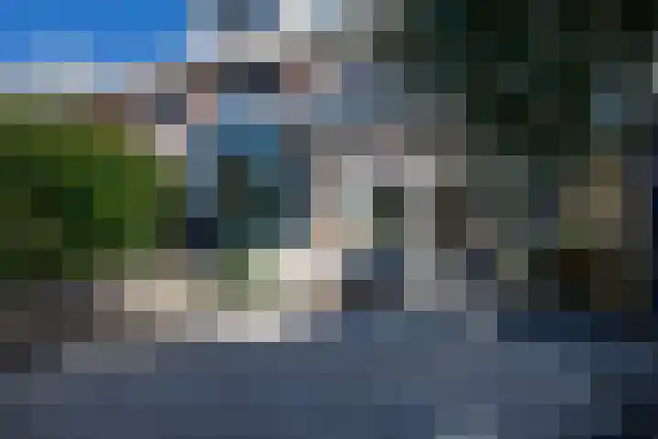 Zilverreiger 20 Leimuiden thumbnail 32