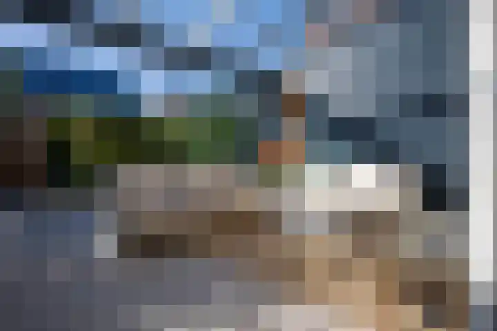 Zilverreiger 20 Leimuiden thumbnail 33
