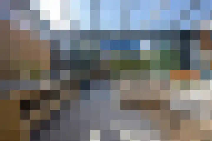 Zilverreiger 20 Leimuiden thumbnail 35