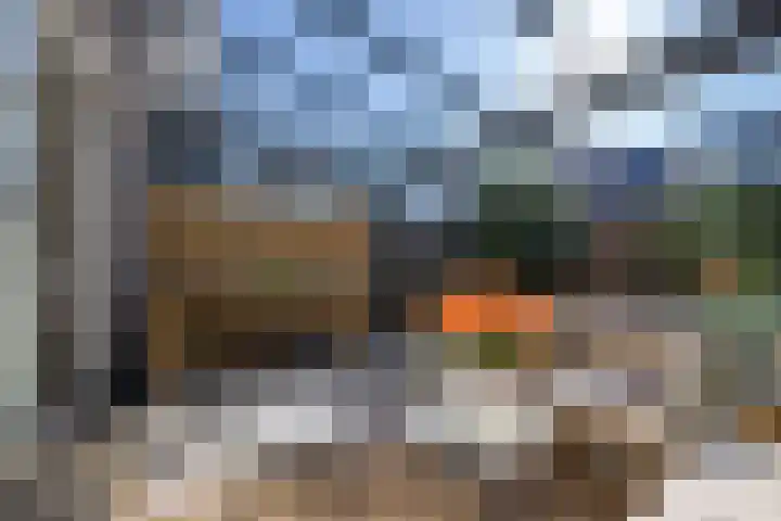 Zilverreiger 20 Leimuiden thumbnail 36