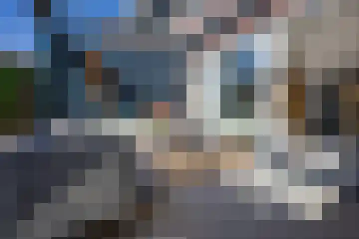 Zilverreiger 20 Leimuiden thumbnail 37