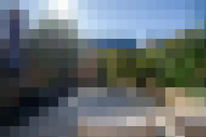 Zilverreiger 20 Leimuiden thumbnail 39