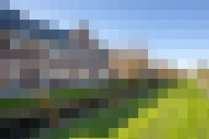 Zilverreiger 20 Leimuiden thumbnail 4