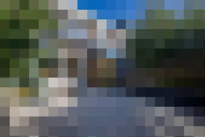 Zilverreiger 20 Leimuiden thumbnail 40