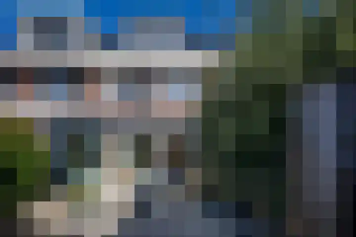 Zilverreiger 20 Leimuiden thumbnail 41