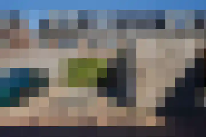 Zilverreiger 20 Leimuiden thumbnail 42