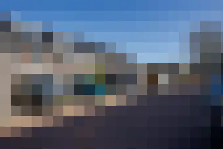 Zilverreiger 20 Leimuiden thumbnail 43