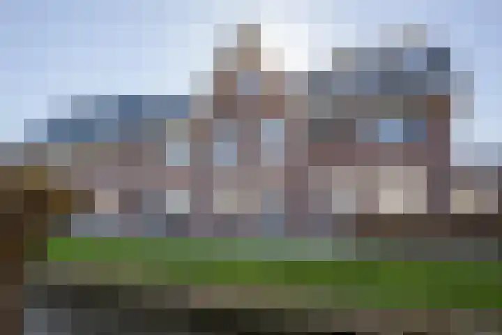 Zilverreiger 20 Leimuiden thumbnail 5
