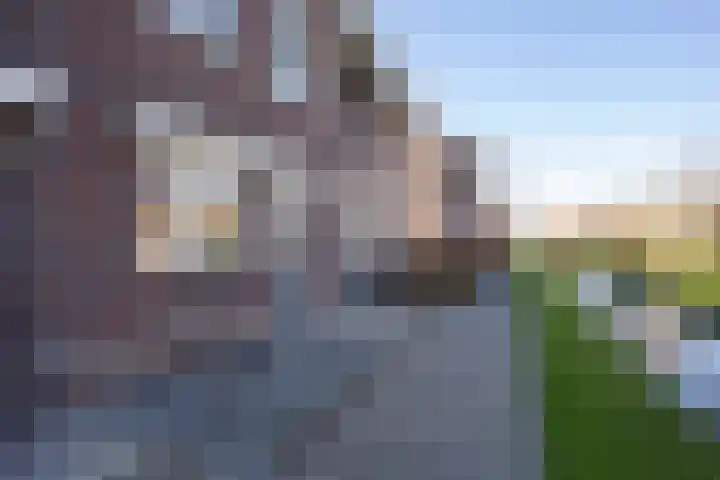 Zilverreiger 20 Leimuiden thumbnail 7