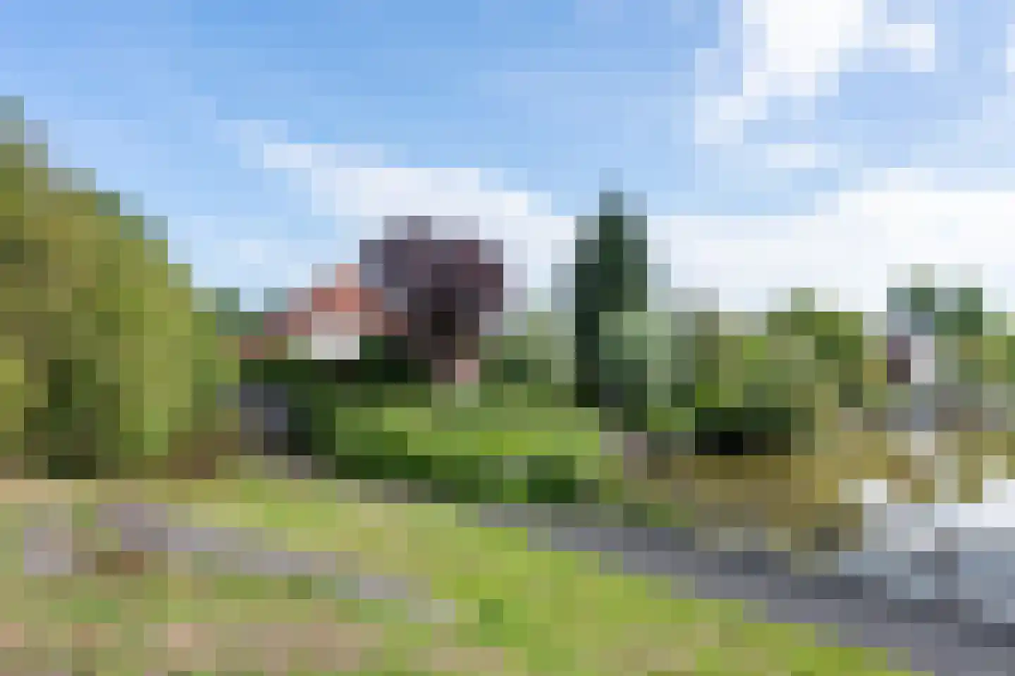 Zilverreiger 8 Emmen thumbnail 10