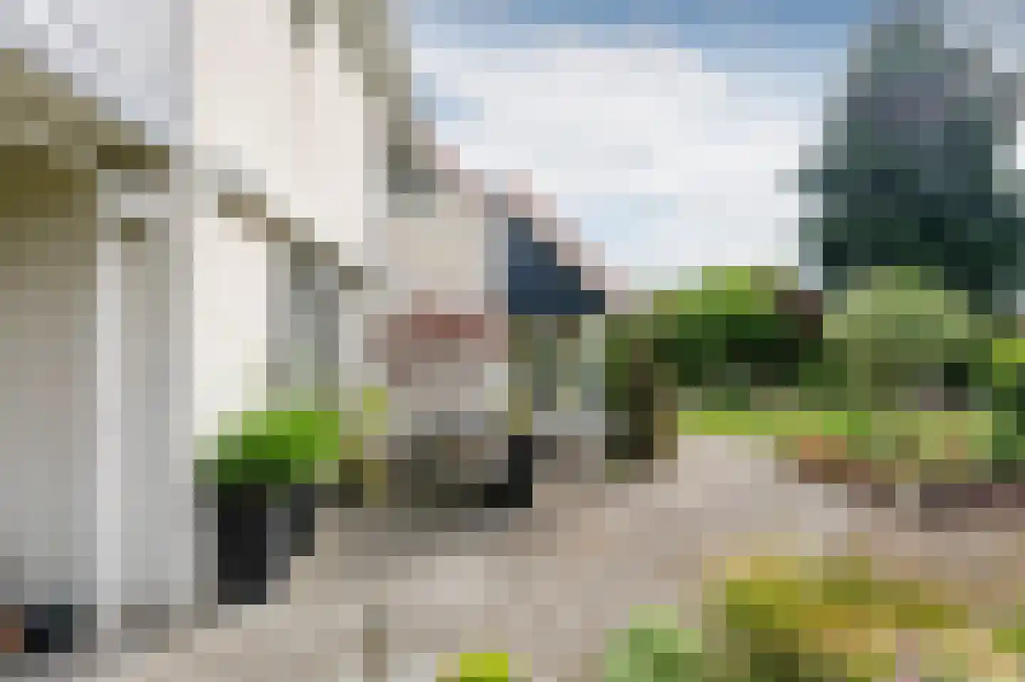 Zilverreiger 8 Emmen thumbnail 11