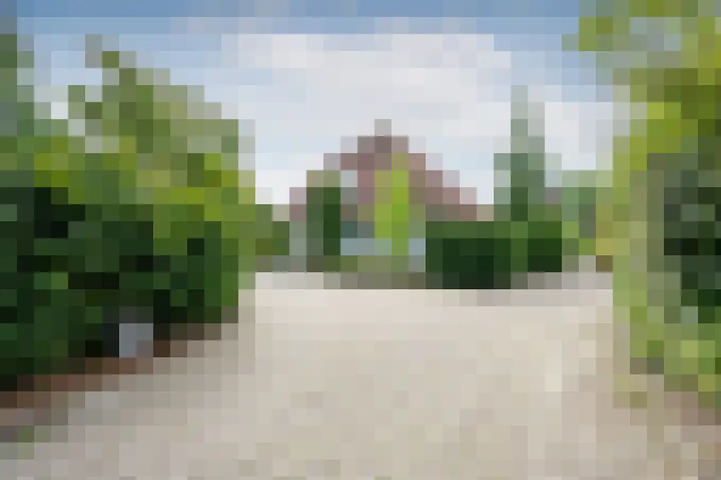 Zilverreiger 8 Emmen thumbnail 12
