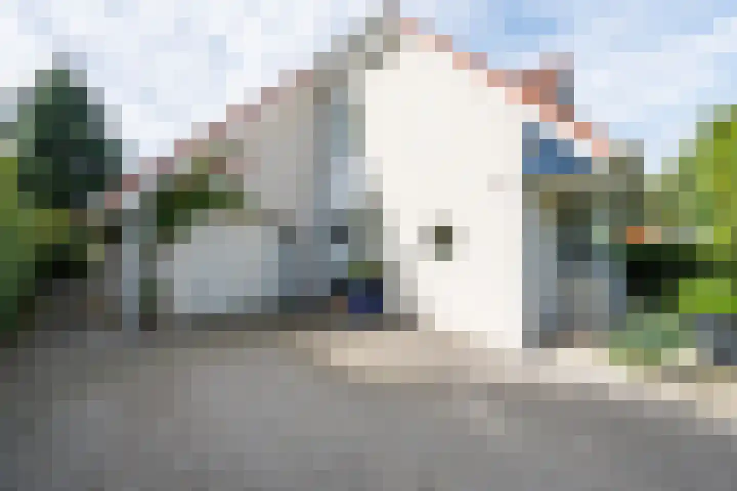 Zilverreiger 8 Emmen thumbnail 13