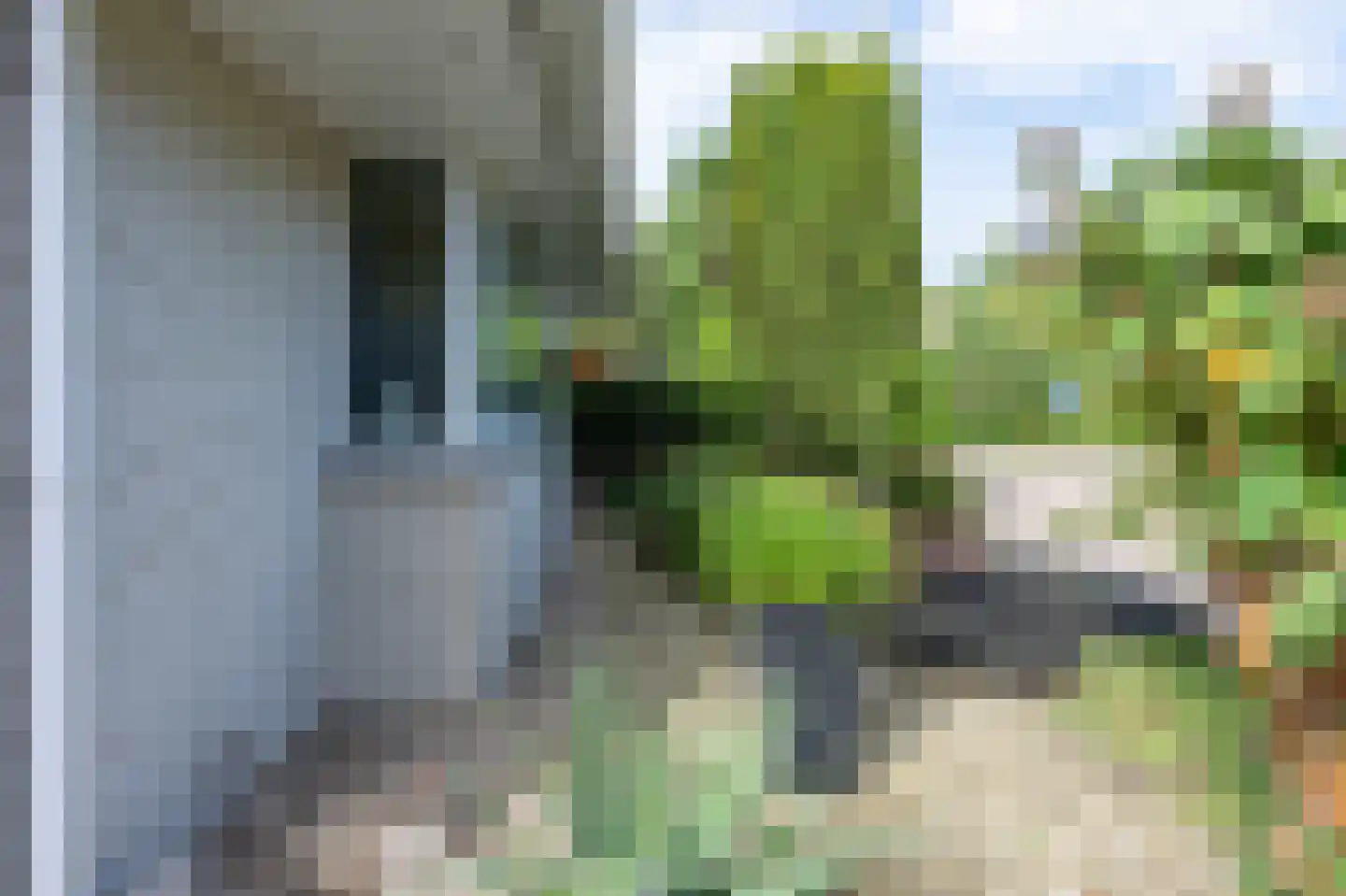 Zilverreiger 8 Emmen thumbnail 14
