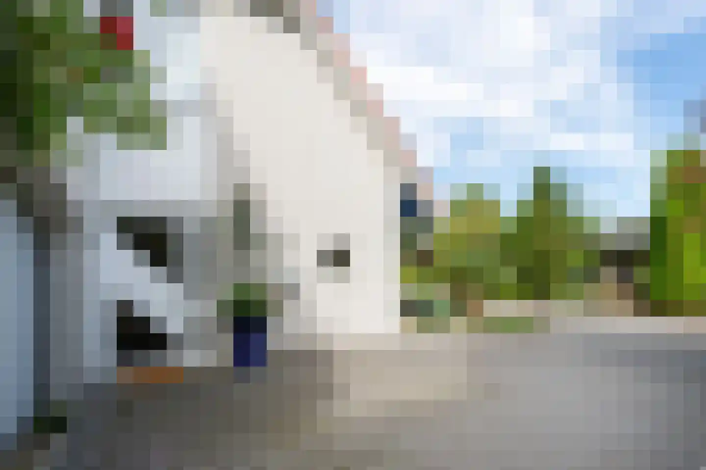 Zilverreiger 8 Emmen thumbnail 15