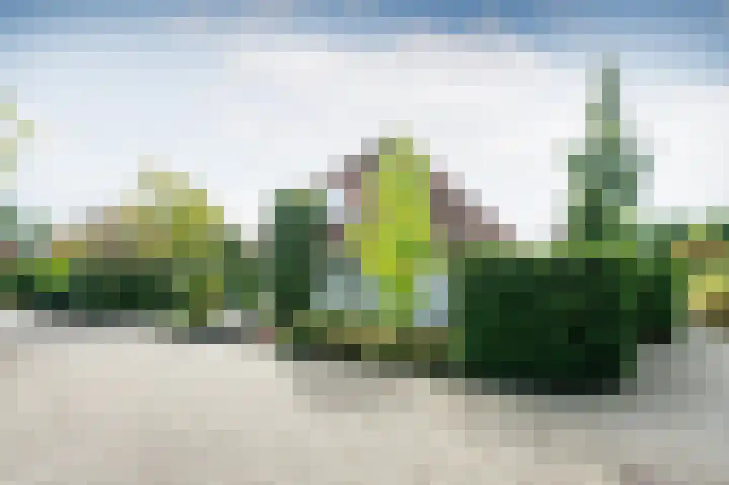 Zilverreiger 8 Emmen thumbnail 40