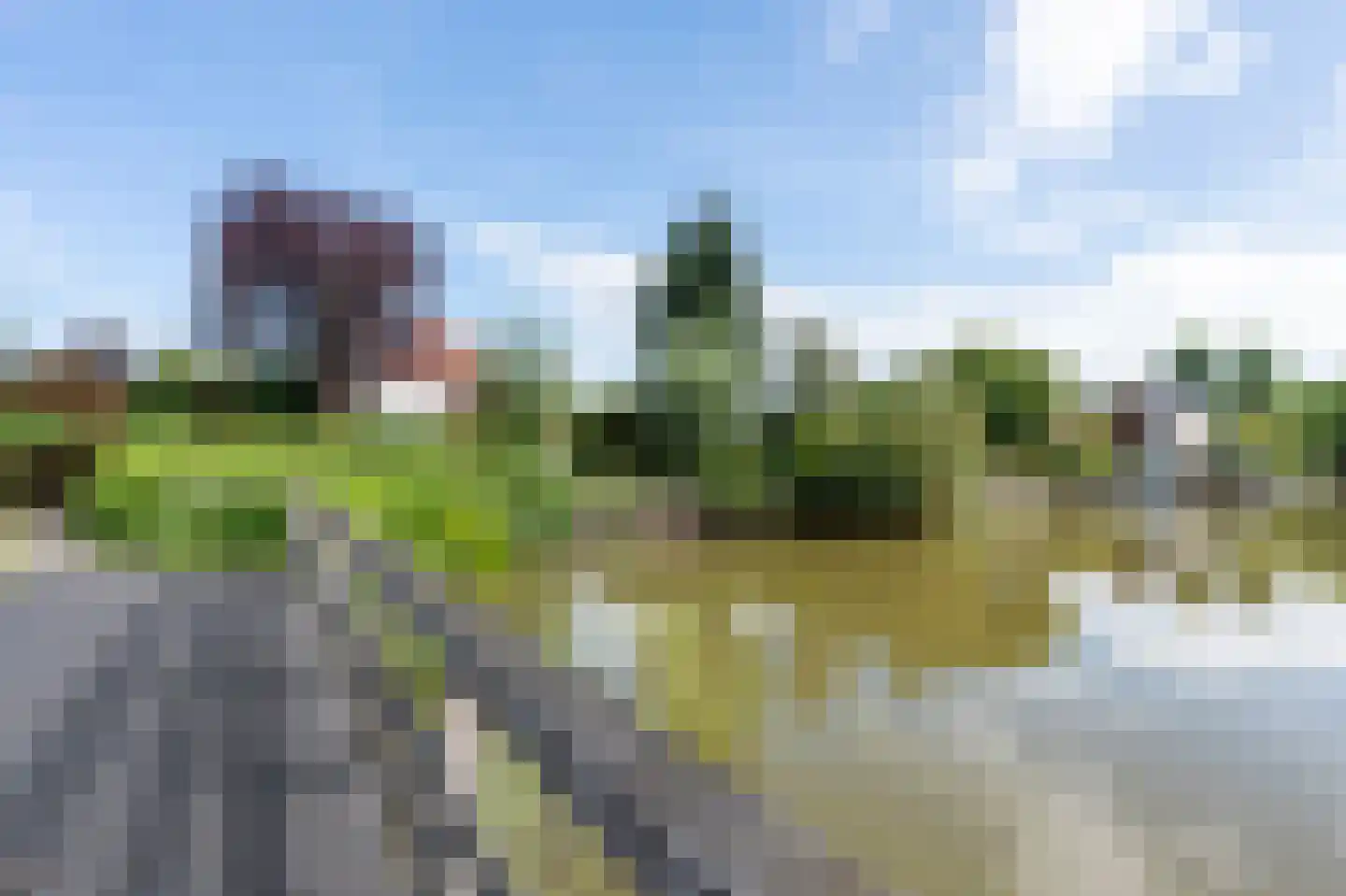 Zilverreiger 8 Emmen thumbnail 41