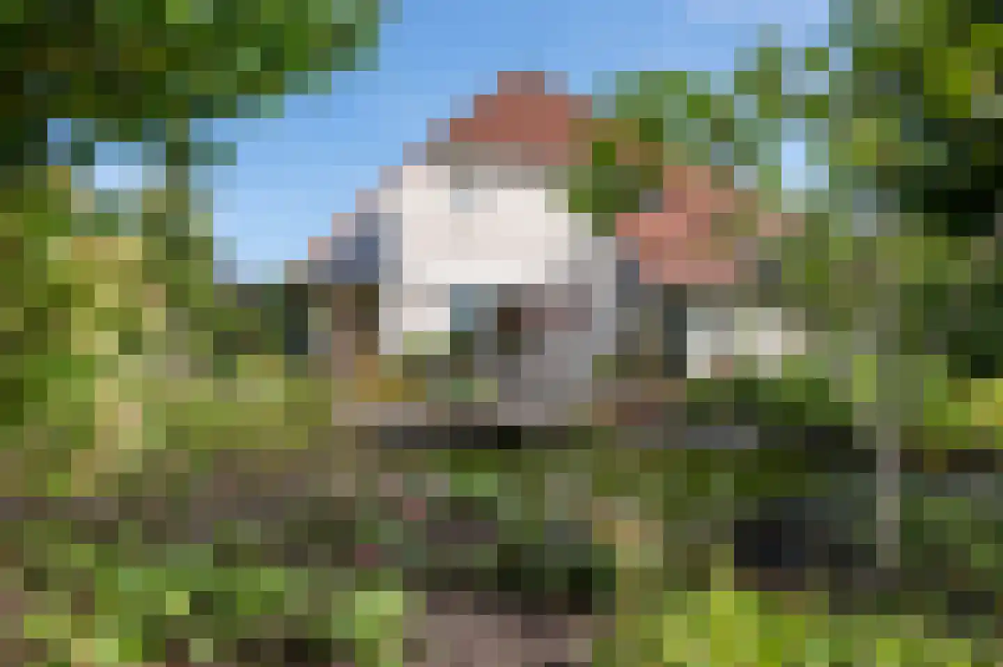 Zilverreiger 8 Emmen thumbnail 42