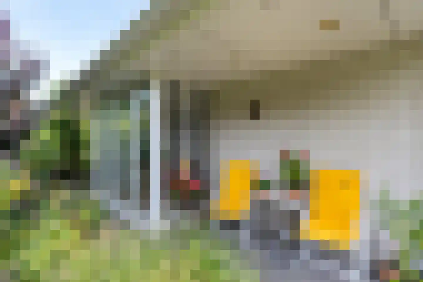 Zilverreiger 8 Emmen thumbnail 43
