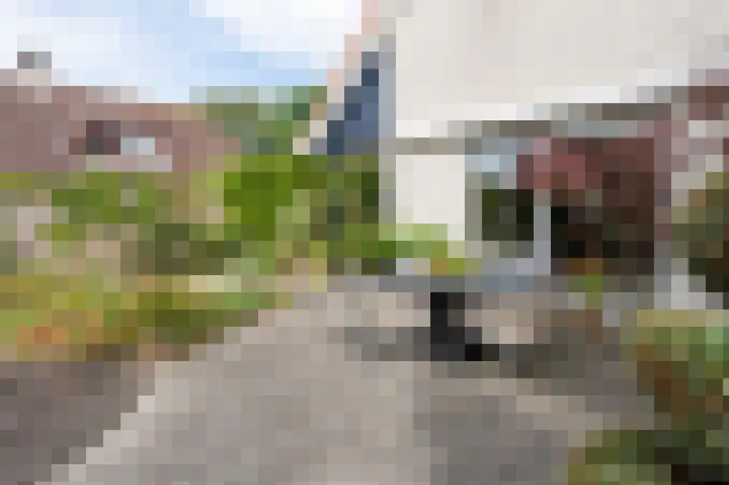 Zilverreiger 8 Emmen thumbnail 44