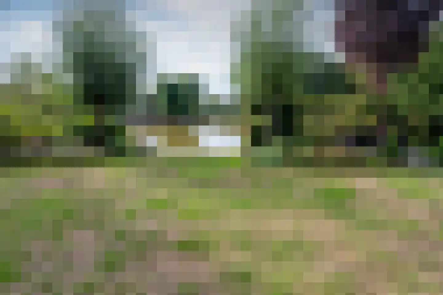 Zilverreiger 8 Emmen thumbnail 45