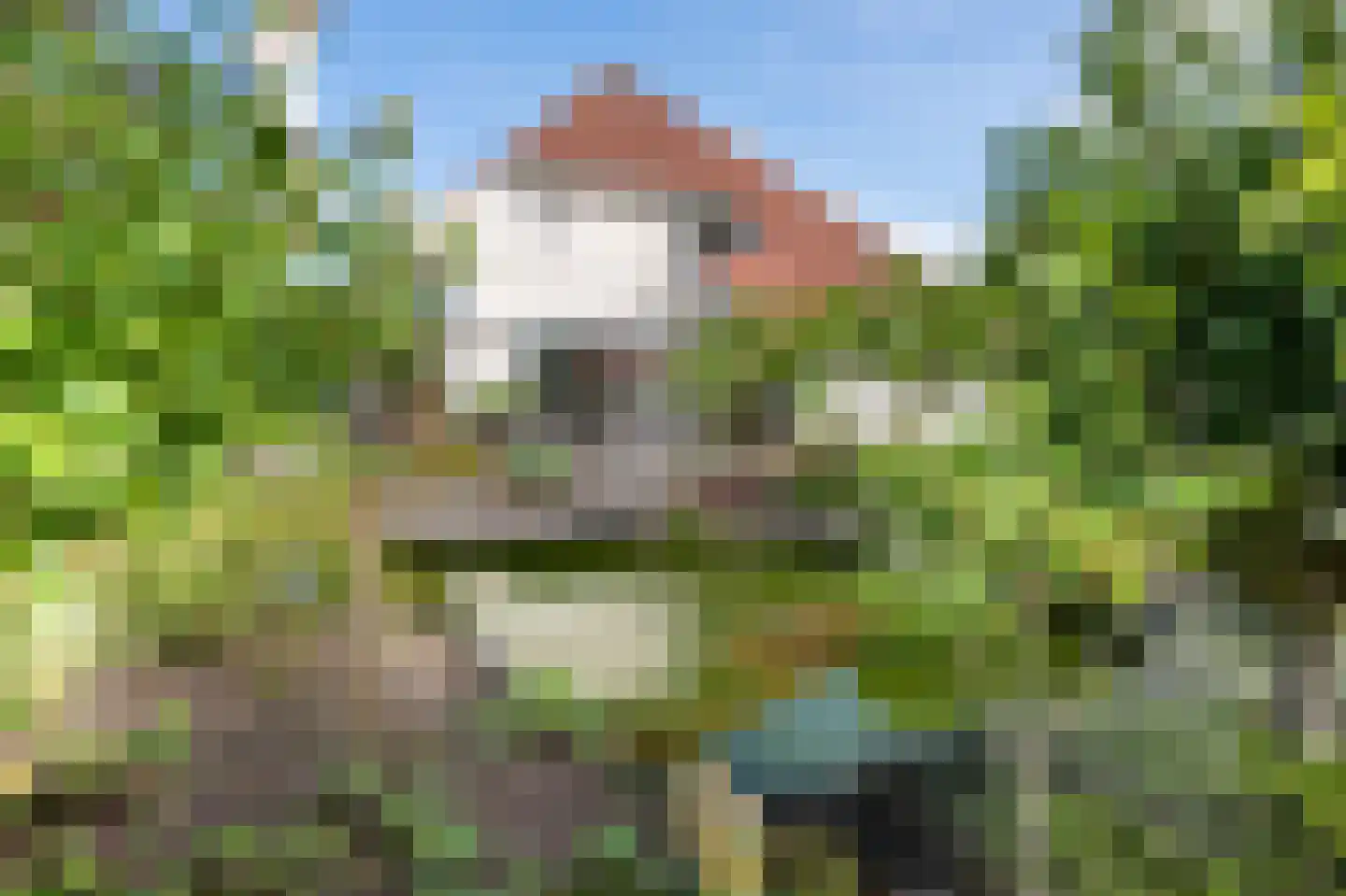 Zilverreiger 8 Emmen thumbnail 46