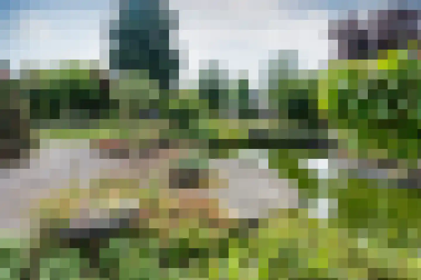 Zilverreiger 8 Emmen thumbnail 47