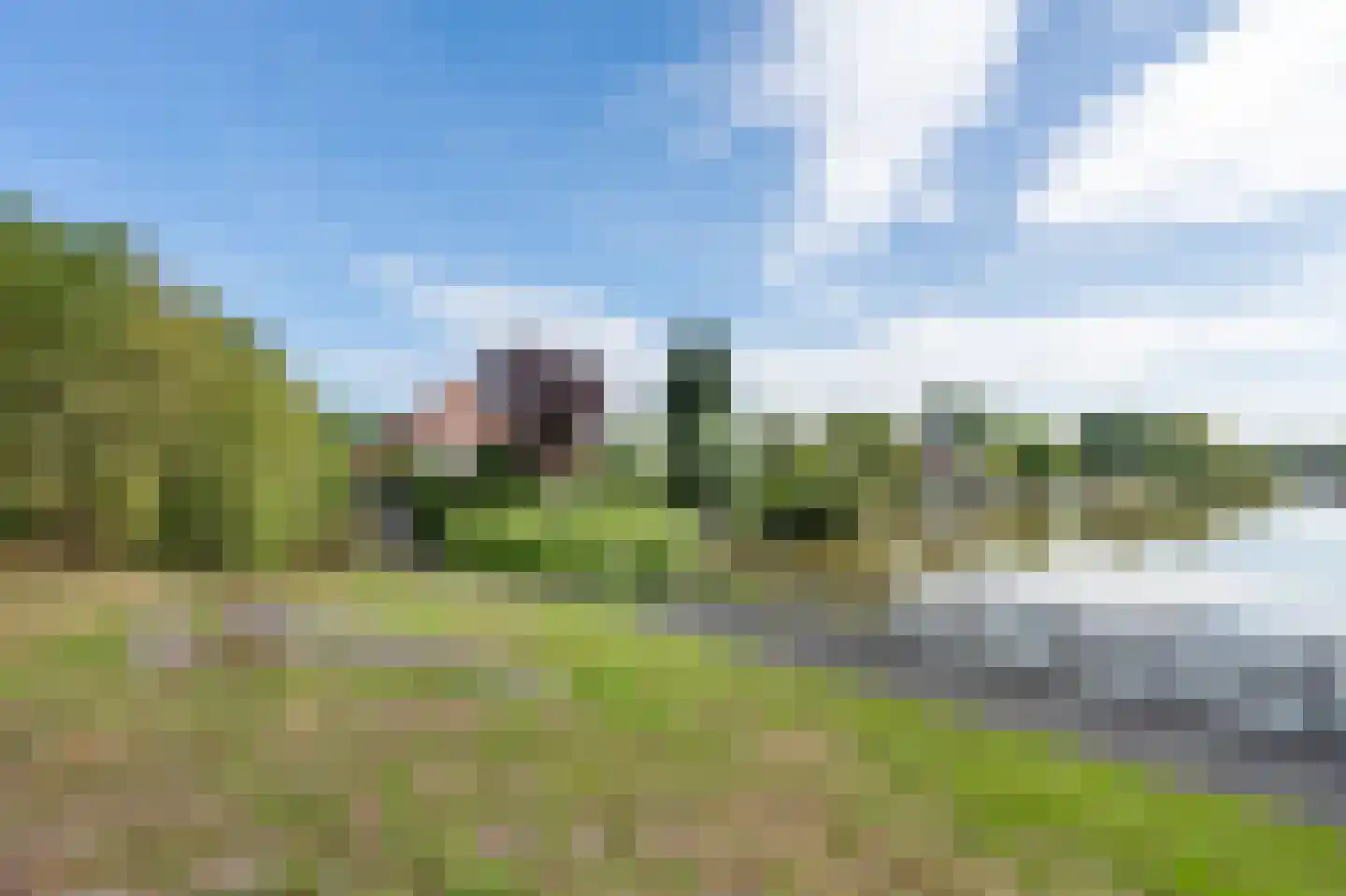 Zilverreiger 8 Emmen thumbnail 48