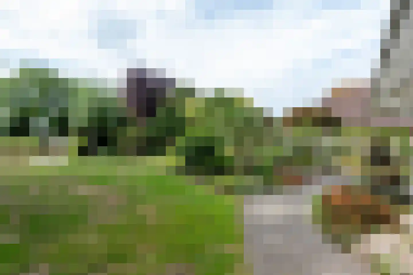 Zilverreiger 8 Emmen thumbnail 49