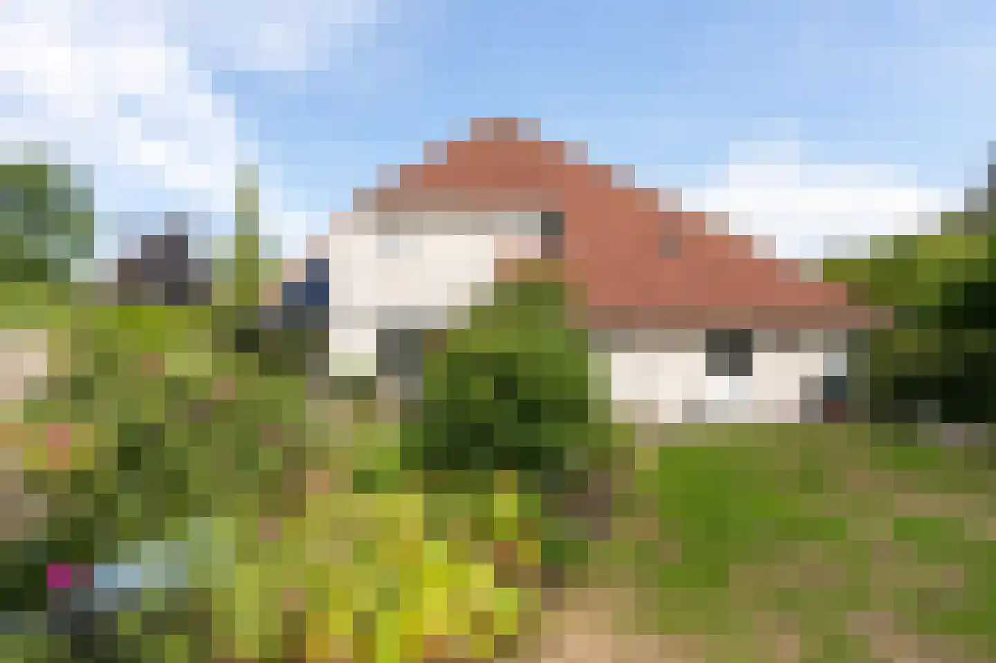 Zilverreiger 8 Emmen thumbnail 50