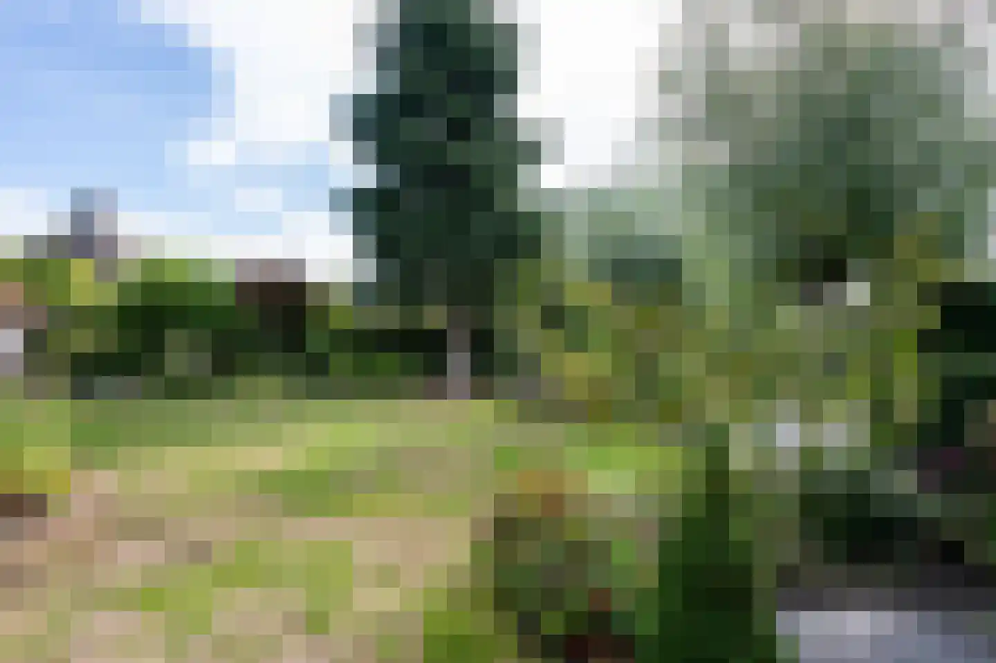 Zilverreiger 8 Emmen thumbnail 51