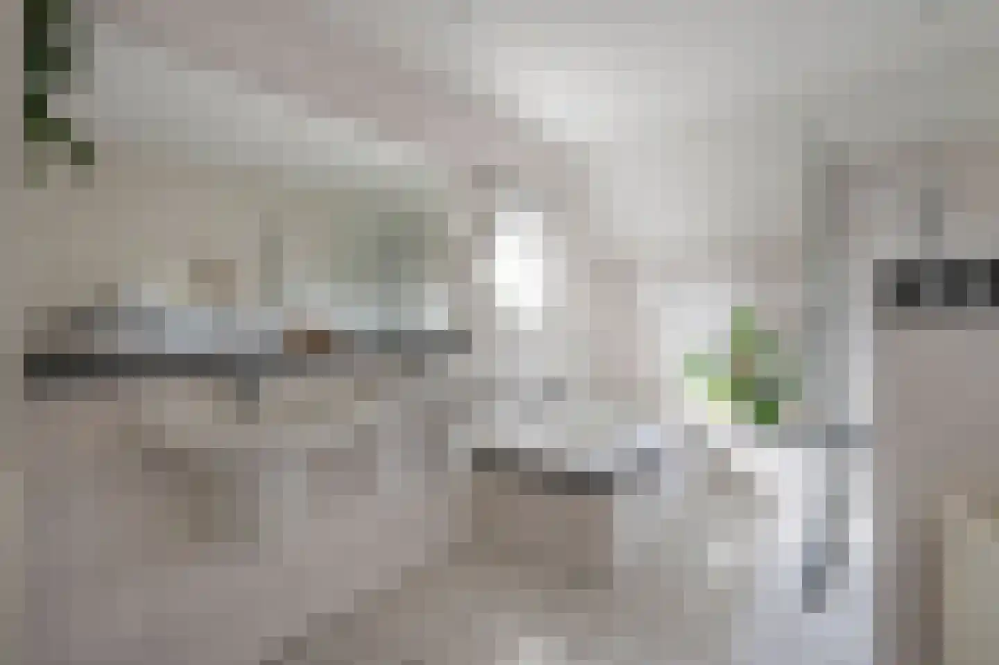 Zilverreiger 8 Emmen thumbnail 9
