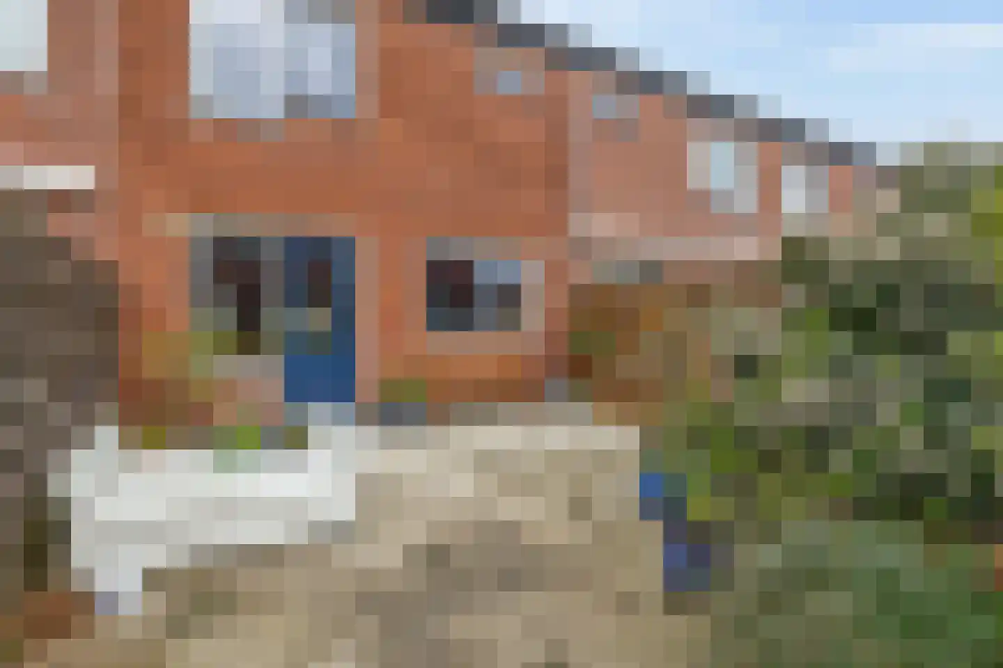 Zilverreiger 8 Rozenburg thumbnail 30