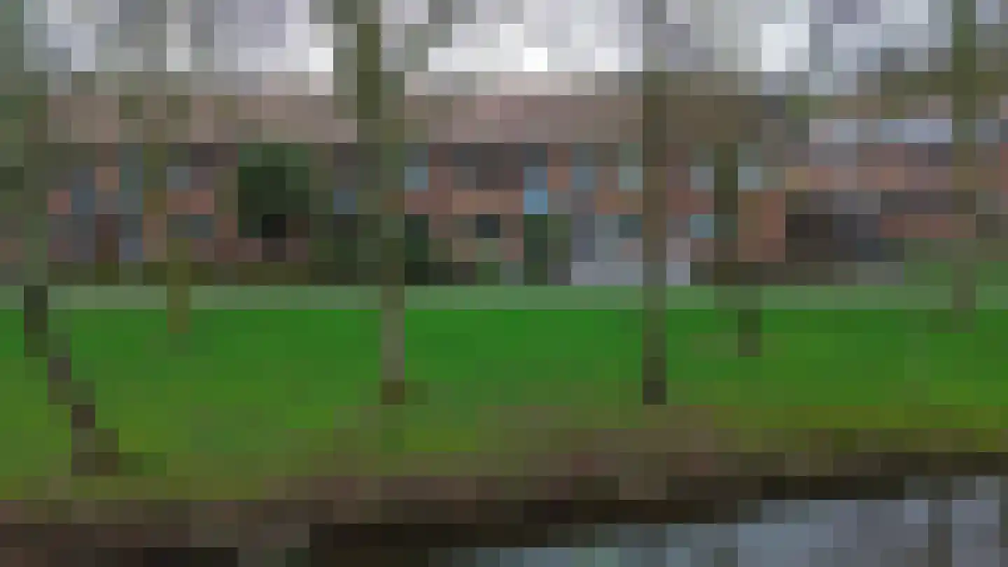 Zilverreiger 8 Rozenburg thumbnail 37