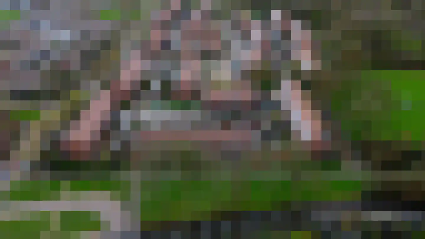 Zilverreiger 8 Rozenburg thumbnail 38