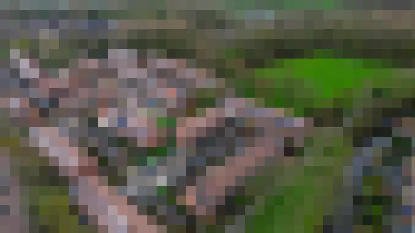 Zilverreiger 8 Rozenburg thumbnail 40