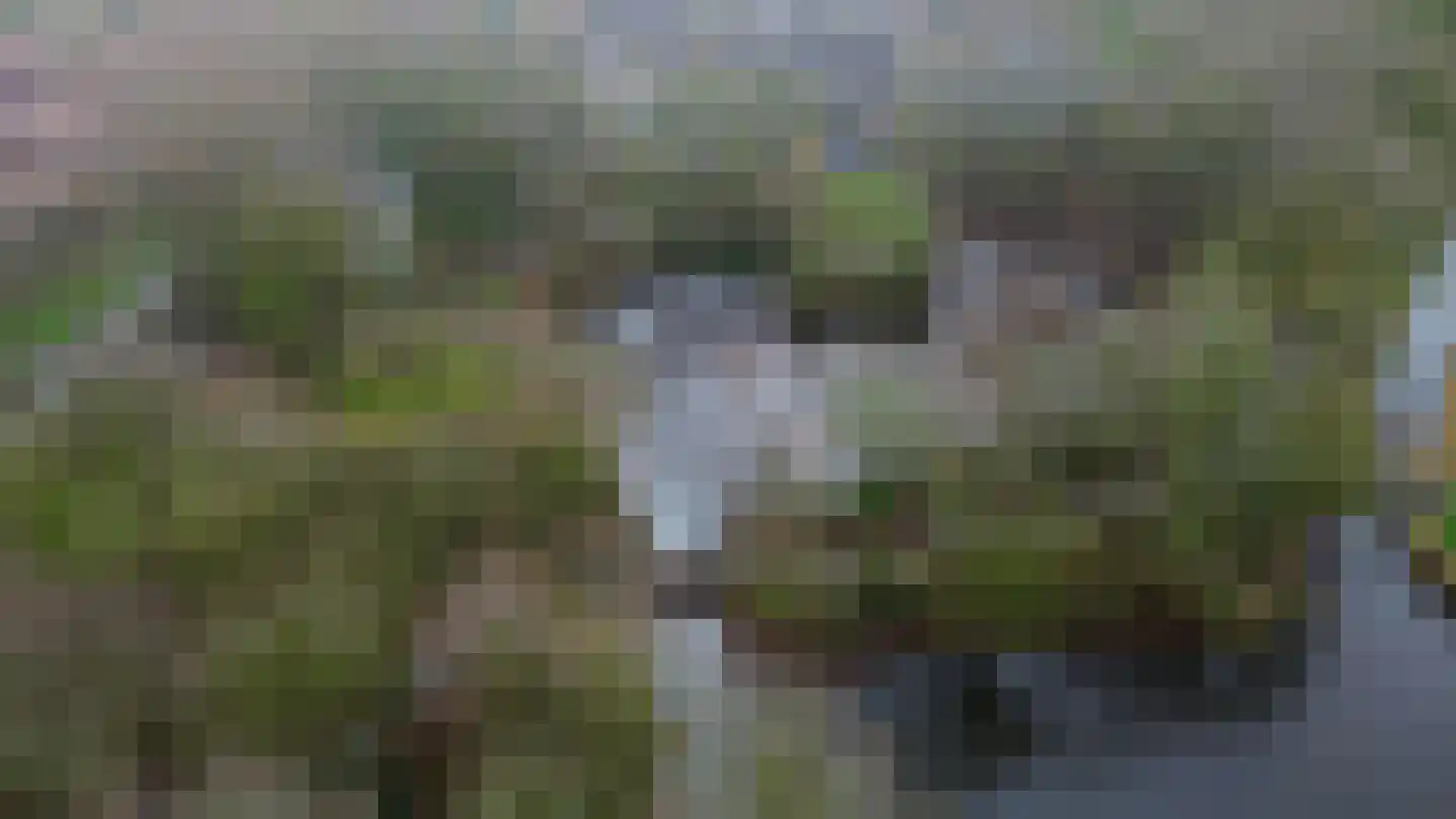 Zilverreiger 8 Rozenburg thumbnail 41