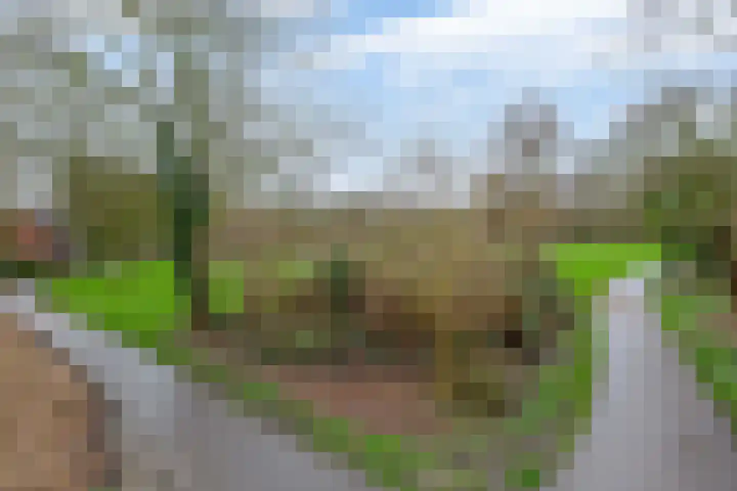 Zilverreiger 8 Rozenburg thumbnail 42