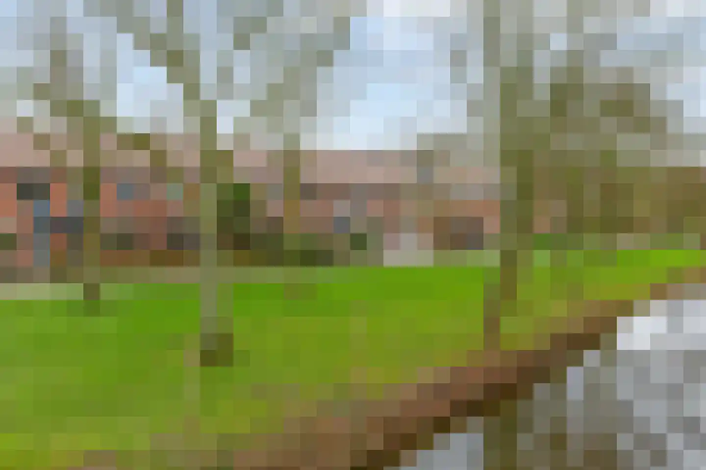 Zilverreiger 8 Rozenburg thumbnail 5