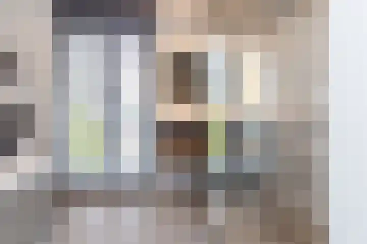 Zilverreigerdreef 26 Pijnacker thumbnail 19