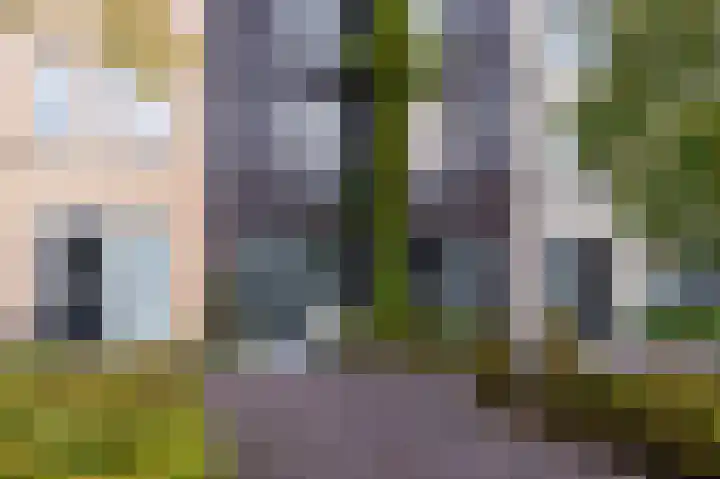 Zilverreigerdreef 26 Pijnacker thumbnail 36