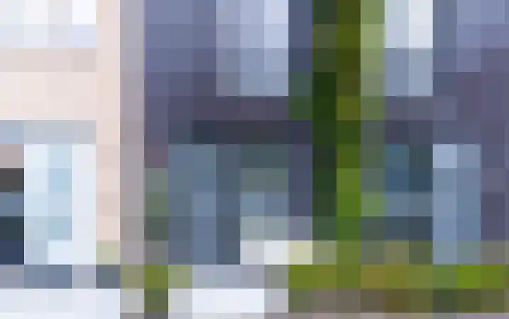 Zilverreigerdreef 26 Pijnacker thumbnail 37