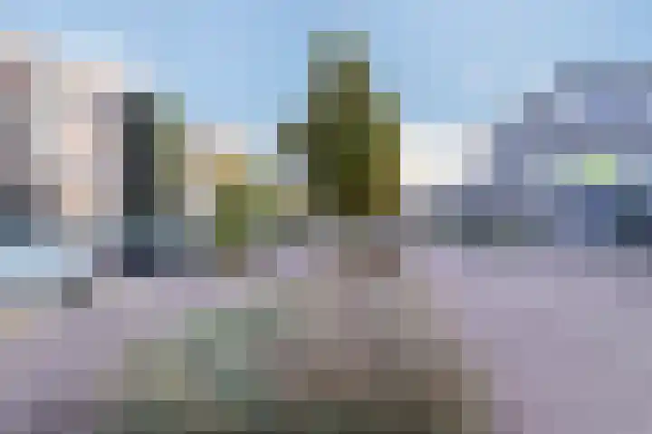 Zilverreigerdreef 26 Pijnacker thumbnail 39