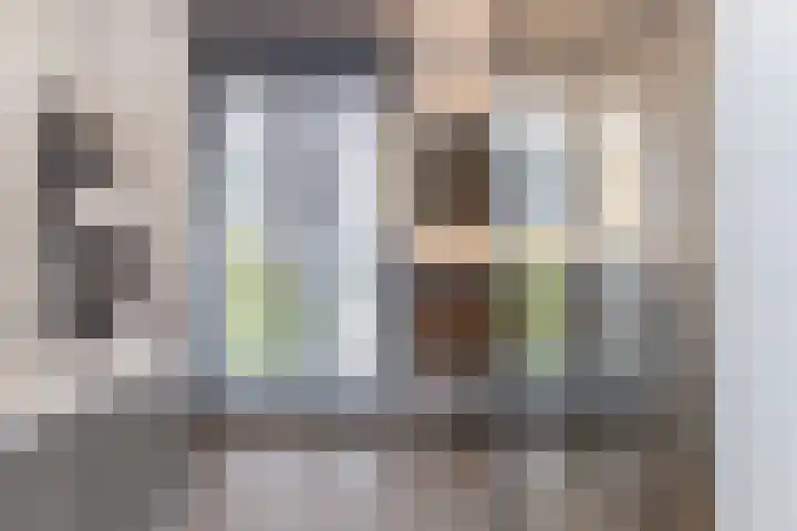 Zilverreigerdreef 26 Pijnacker thumbnail 4