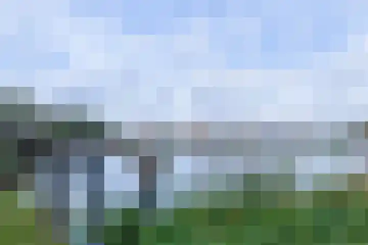 Zilverreigerdreef 26 Pijnacker thumbnail 41