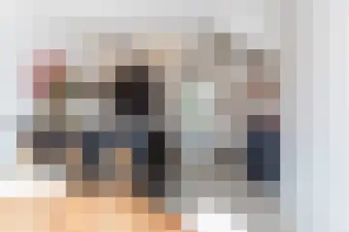 Zilverreigerdreef 26 Pijnacker thumbnail 7